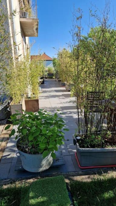 Gite La Passerelle Appartement Ostheim Buitenkant foto